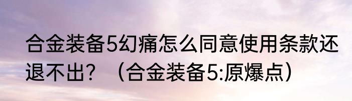 合金装备5幻痛怎么同意使用条款还退不出？（合金装备5:原爆点）