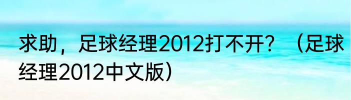 求助，足球经理2012打不开？（足球经理2012中文版）