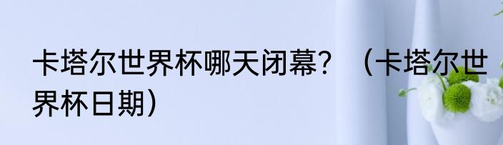 卡塔尔世界杯哪天闭幕？（卡塔尔世界杯日期）
