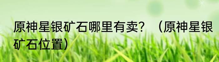 原神星银矿石哪里有卖？（原神星银矿石位置）