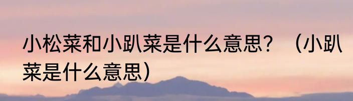 小松菜和小趴菜是什么意思？（小趴菜是什么意思）