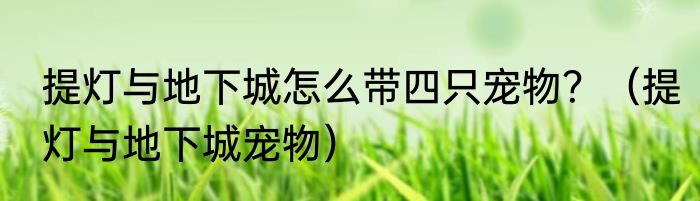 提灯与地下城怎么带四只宠物？（提灯与地下城宠物）