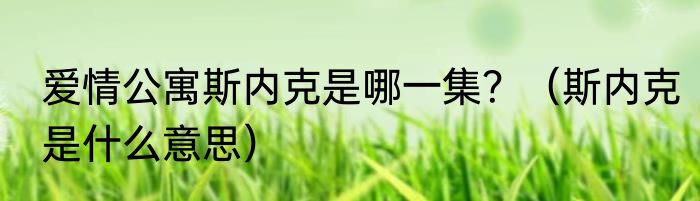 爱情公寓斯内克是哪一集？（斯内克是什么意思）