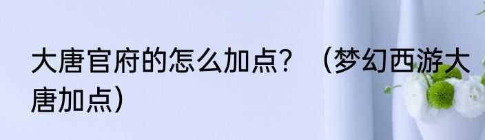 大唐官府的怎么加点？（梦幻西游大唐加点）