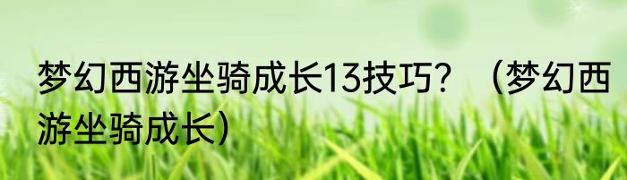 梦幻西游坐骑成长13技巧？（梦幻西游坐骑成长）