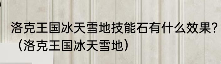 洛克王国冰天雪地技能石有什么效果？（洛克王国冰天雪地）
