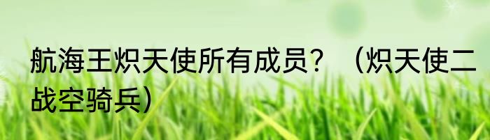 航海王炽天使所有成员？（炽天使二战空骑兵）