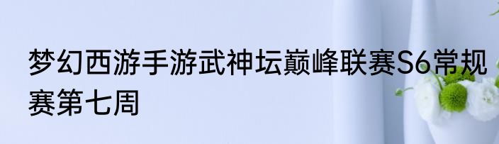 梦幻西游手游武神坛巅峰联赛S6常规赛第七周