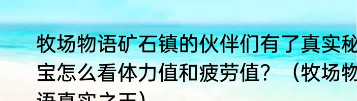 牧场物语矿石镇的伙伴们有了真实秘宝怎么看体力值和疲劳值？（牧场物语真实之玉）