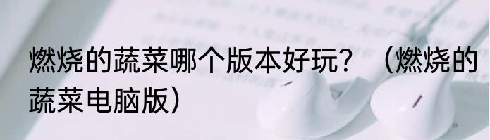 燃烧的蔬菜哪个版本好玩？（燃烧的蔬菜电脑版）