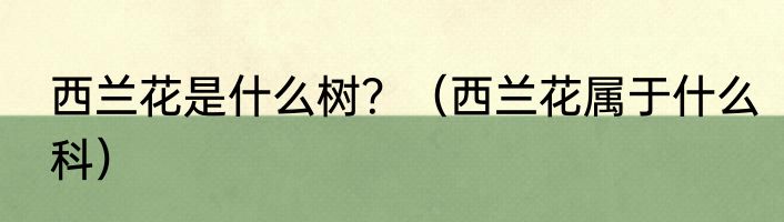 西兰花是什么树？（西兰花属于什么科）