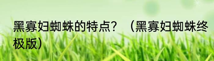黑寡妇蜘蛛的特点？（黑寡妇蜘蛛终极版）