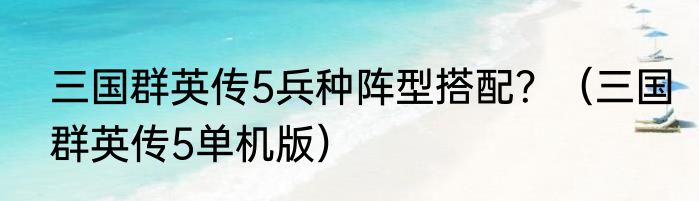 三国群英传5兵种阵型搭配？（三国群英传5单机版）