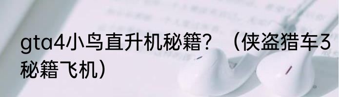 gta4小鸟直升机秘籍？（侠盗猎车3秘籍飞机）
