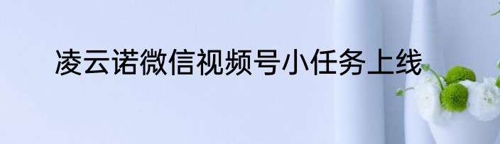 凌云诺微信视频号小任务上线