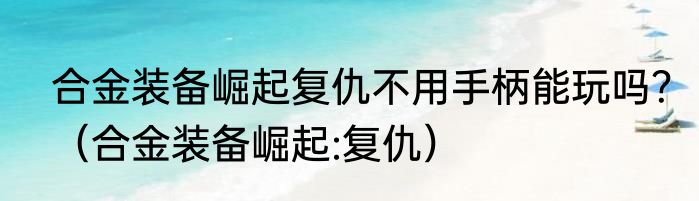 合金装备崛起复仇不用手柄能玩吗？（合金装备崛起:复仇）