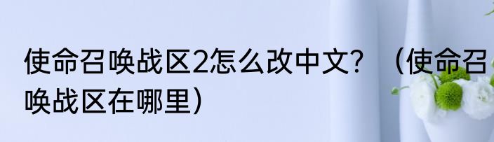 使命召唤战区2怎么改中文？（使命召唤战区在哪里）