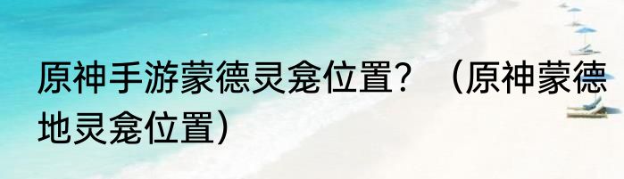 原神手游蒙德灵龛位置？（原神蒙德地灵龛位置）