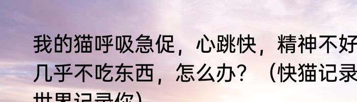 我的猫呼吸急促，心跳快，精神不好，几乎不吃东西，怎么办？（快猫记录世界记录你）