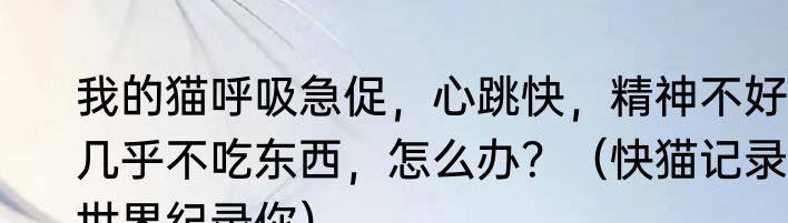 我的猫呼吸急促，心跳快，精神不好，几乎不吃东西，怎么办？（快猫记录世界纪录你）