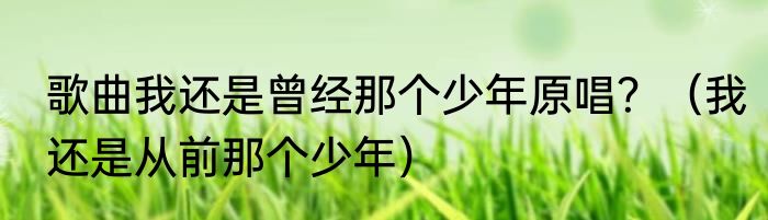 歌曲我还是曾经那个少年原唱？（我还是从前那个少年）