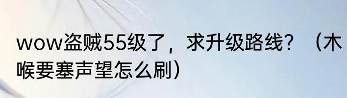 wow盗贼55级了，求升级路线？（木喉要塞声望怎么刷）