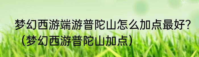 梦幻西游端游普陀山怎么加点最好？（梦幻西游普陀山加点）