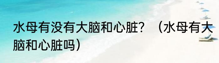 水母有没有大脑和心脏？（水母有大脑和心脏吗）