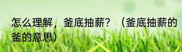 怎么理解，釜底抽薪？（釜底抽薪的釜的意思）