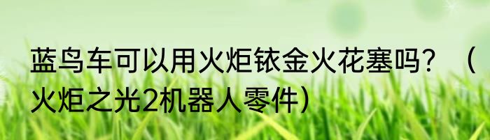 蓝鸟车可以用火炬铱金火花塞吗？（火炬之光2机器人零件）