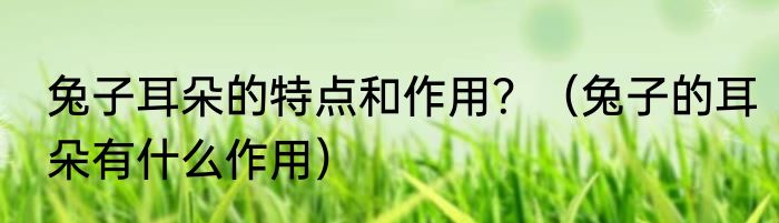 兔子耳朵的特点和作用？（兔子的耳朵有什么作用）