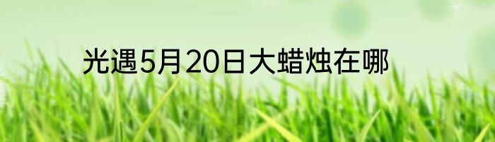 光遇5月20日大蜡烛在哪