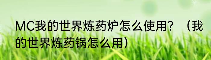 MC我的世界炼药炉怎么使用？（我的世界炼药锅怎么用）