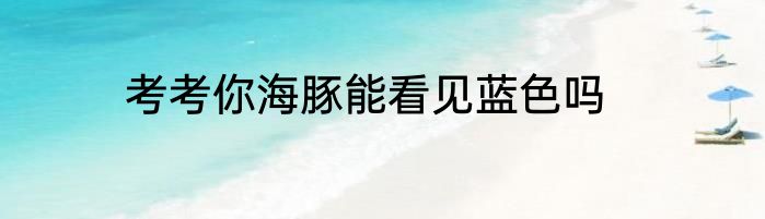 考考你海豚能看见蓝色吗