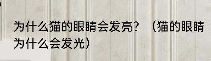 为什么猫的眼睛会发亮？（猫的眼睛为什么会发光）