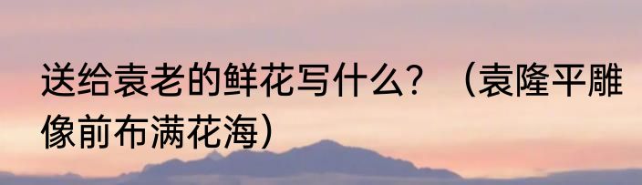 送给袁老的鲜花写什么？（袁隆平雕像前布满花海）