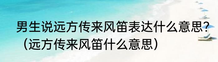 男生说远方传来风笛表达什么意思？（远方传来风笛什么意思）