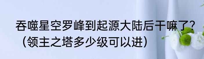 吞噬星空罗峰到起源大陆后干嘛了？（领主之塔多少级可以进）