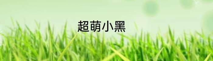 超萌小黑