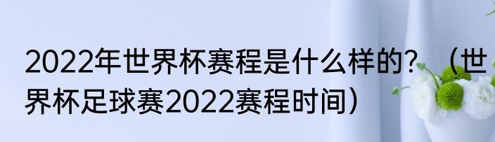2022年世界杯赛程是什么样的？（世界杯足球赛2022赛程时间）