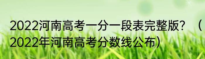 2022河南高考一分一段表完整版？（2022年河南高考分数线公布）