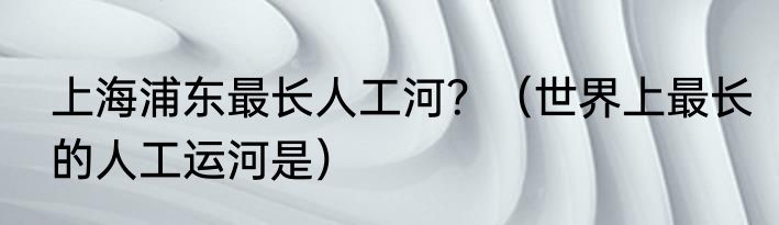 上海浦东最长人工河？（世界上最长的人工运河是）