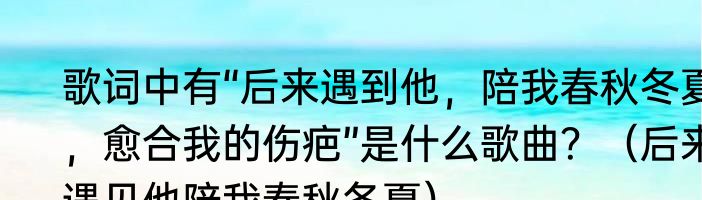 歌词中有“后来遇到他，陪我春秋冬夏，愈合我的伤疤”是什么歌曲？（后来遇见他陪我春秋冬夏）