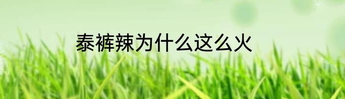 泰裤辣为什么这么火