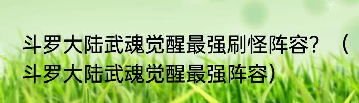 斗罗大陆武魂觉醒最强刷怪阵容？（斗罗大陆武魂觉醒最强阵容）