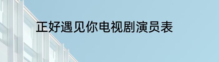 正好遇见你电视剧演员表