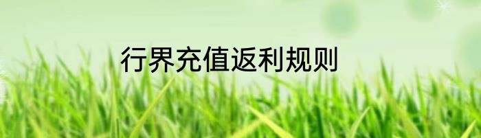 行界充值返利规则