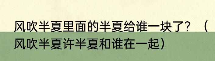 风吹半夏里面的半夏给谁一块了？（风吹半夏许半夏和谁在一起）