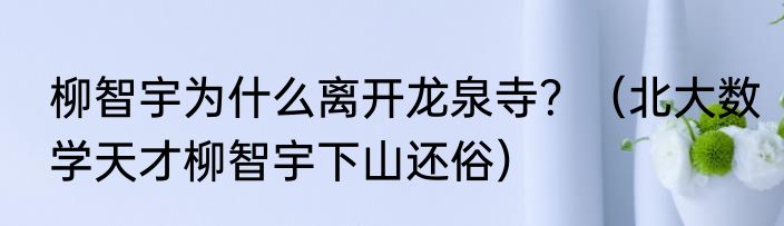 柳智宇为什么离开龙泉寺？（北大数学天才柳智宇下山还俗）