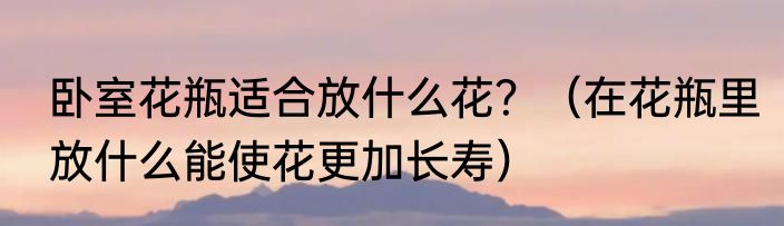 卧室花瓶适合放什么花？（在花瓶里放什么能使花更加长寿）